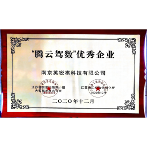 腾云驾数优秀企业